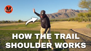 How the Trail Shoulder Works in the Golf Swing