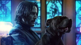 🔰John Wick New Transition Edits🔰Whatsapp Status John Wick 4 HD 4K #shorts #johnwick #trending #on1