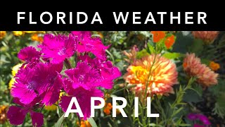 Florida Weather: April