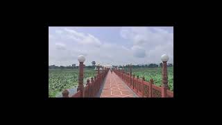 pawapuri jal mandir new status video jal mandir pawapuri #shorts #mandir