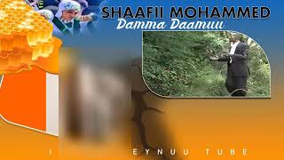 Shaafii Mahammad _DAMMADAAMUU_Old Jimma Music 🎶