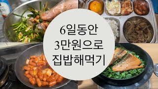 6일동안(일-금)3만원으로 집에서 밥해먹기 ✨