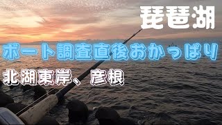 【彦根　琵琶湖北湖東岸】ボート調査。直後、おかっぱりしてみたら・・・