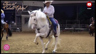 Asi fue la Feria del caballo Español en el 2024 y asi sera en el 2025.