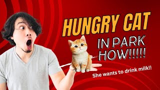 Meow Meow Billi Karti | Hindi Balgeet | म्याऊँ म्याऊँ | Super Kids Network