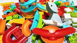 Satisfying Building Blocks Marble Run Long Track Whale 15 - Marble Run ASMR TV Live 14