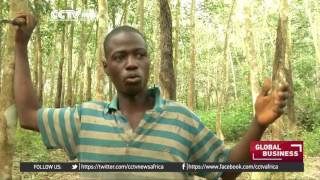 Ivorian farmers threaten to discontinue production of rubber because of low prices