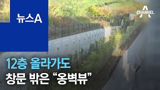 12층 올라가도 창문 밖은 “옹벽뷰”…감사청구 이어져 | 뉴스A