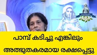 പാമ്പ് കടിച്ചു എങ്കിലും അത്ഭുതകരമായ രക്ഷപ്പെട്ടു #kreupasanam #marian #shortvideo #shorts