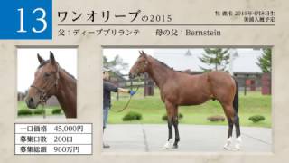 【2016年度[1歳馬]1次募集】13 ワンオリーブの2015