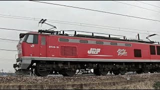 ﾚｯﾄﾞｻﾝﾀﾞｰEF510-19牽引高速貨物3097ﾚ　広島→新潟