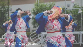 周防紅華連（こあこいろ）・よさこいRevolution（2回目）