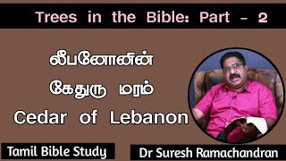 லீபனோனின் கேதுரு மரம் | Cedar of Lebanon | Trees in the Bible: Part - 2 | Dr Suresh Ramachandran