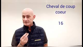 PRONOSTIC PMU QUINTÉ + JEUDI 6 FÉVRIER À VINCENNES RÉUNION 1 COURSE 1