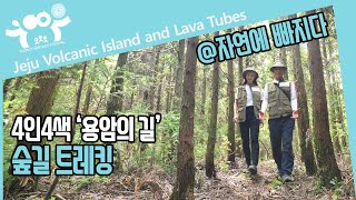 [4人4色] 용암의 길 숲길 트레킹 [4K]