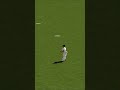 Have you seen similar thing in modern cricket games?