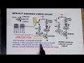 NPN BJT Switch Circuit How To Bipolar Junction Transistor Basic Electronics Tutorial