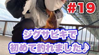 【初心者でも魚を釣りたい#19】【初めてジグサビキで釣れた日】【アジュール舞子】