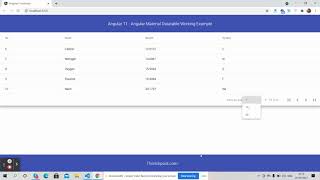Angular 11 Material Data Table Working Demo
