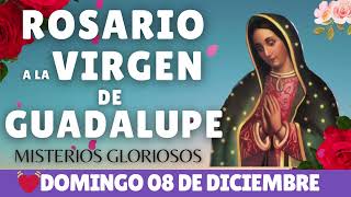 ✅💝SANTO ROSARIO A LA VIRGEN DE GUADALUPE HOY DOMINGO 📿08 DE DICIEMBRE FE 📿 Catolica oficial 💝