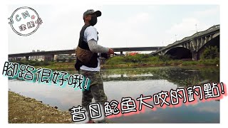 【釣魚津觸咪】當初鯰魚大咬的點，回憶一下!(ㄚ韋路亞入門的釣點)#V特 #津觸咪 #中部釣魚 #路亞釣遊/路亞泰國鱧/路亞吳郭魚/路亞曲腰