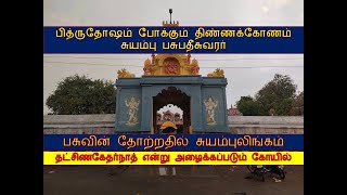 பித்ருதோஷம் போக்கும் #திண்ணக்கோணம் சுயம்பு பசுபதீசுவரர் திருக்கோயில் #thinnakonam