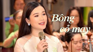 Bông Cỏ May - Sương Sương | Nhạc Lính Xưa Hải Ngoại