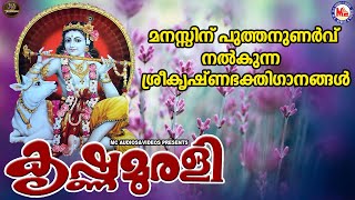 കൃഷ്ണമുരളി | ഗുരുവായൂരപ്പഭക്തിഗാനങ്ങള്‍ | Hindu Devotional Songs Malayalam | SreeKrishna Songs |