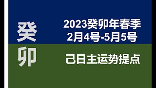 2023春季（2月4号--5月5号）己土日主运势提点