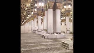 Riaz ul Jannah &Salaam to Prophet Muhammad PBUH In Madina Masjid An Nabawi | #madina #madinah #hajj