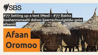 #77 Setting up a tent (Med) - #77 Bakka bashannanaatti dahoo ijaarrachuu(giddu-gala afaanii) |...