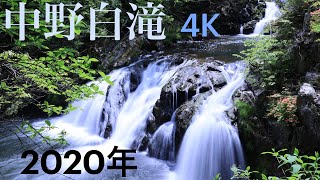 中野白滝4k 2020年