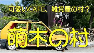 【車中泊の旅】清里の旅、萌木の村‥本物メリーゴーランドがあるカフェもある