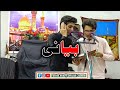 Zakir Zain Muhammadi & Zakir Rifat Hussain New Pashto Noha 2022 || Pashto Nohay 2022 || Pashto Nohay