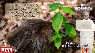 యెష్షయి మొద్దునుండి చిగురు పుట్టును....|| Message by Pastor P.L.Samuel || 27-Dec-2020