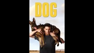 ძაღლი  /  Dog (ქართულად) // ცივი ძაღლი// DOG (qartulad)