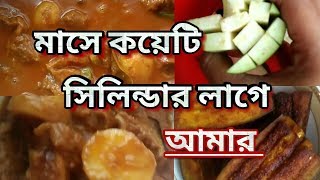 সিলিন্ডার গ্যাস এ রান্না করা কতটা শান্তি ll কয়টি সিলিন্ডার লাগে মাসে ll