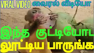 இந்த குட்டியோட லூட்டிய பாருங்க வைரல் வீடியோ | BABY MONKEY NAUGHTY, FUNNY VIRAL VIDEO | தமிழ் அமுது