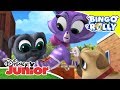 Bingo y Rolly: Momentos Mágicos - Cachorritos teatrales | Disney Junior Oficial