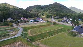 三田波豆川のコスモス畑空撮