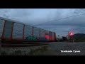 trains at the junction featuring weird e bell on cn 2321 plus meeting fellow railfans bc