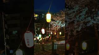 📍諏訪神社