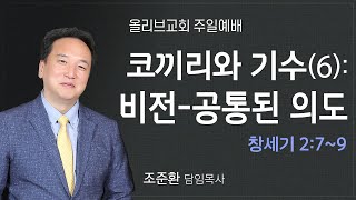 코끼리와 기수(6): '비전-공통된 의도'ㅣ올리브교회 주일설교 조준환 목사ㅣ2022-07-31