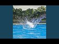 SPLASH