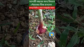 পেঁয়াজের বীজ রাখার পদ্ধতি #agriculture #farming #পেঁয়াজ #onion