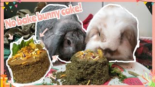 DIY Bunny birthday cake | How to make cake for a rabbit - The Fluff Buns