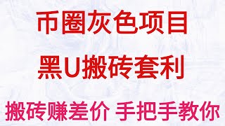 2023灰产赚钱项目|网赚 毫无风险，一个真实的月入10万 灰产项目（最新完全版保姆级教程）零风险超高收益 | 加密货币搬砖干货 | 全流程解析