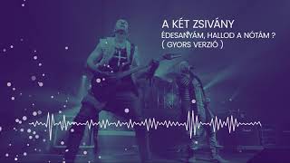 A Két Zsivány - Édesanyám, hallod a nótám ? ( gyors verzió )