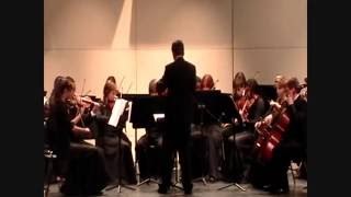 Love Story by Taylor Swift (string orchestra)