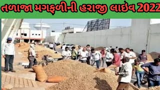 મગફળી ની હરાજી લાઇવ તળાજા 2022||talaja magfali ni live haraji ||